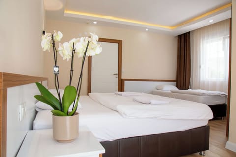 Premium bedding, desk, soundproofing, WiFi (free)