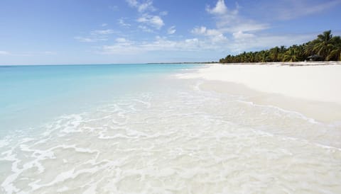 Cottage | Beach