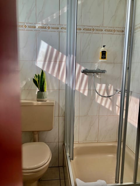 Shower, free toiletries, hair dryer, towels