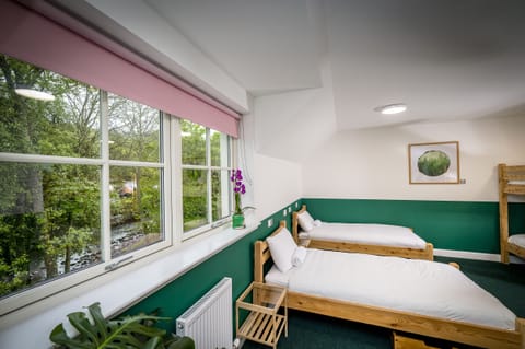 Family Room (Bunk Six) | Soundproofing, iron/ironing board, free WiFi, bed sheets