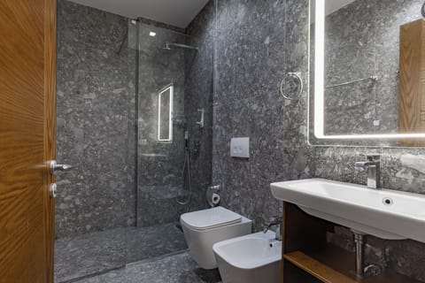 Shower, free toiletries, hair dryer, bidet