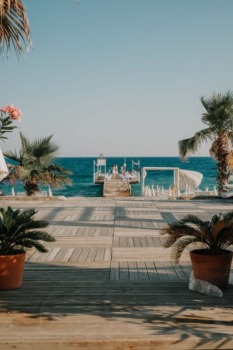 Dock
