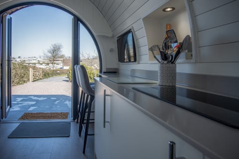 Apartment (1 Bedroom) | Private kitchen | Fridge, microwave, stovetop, electric kettle