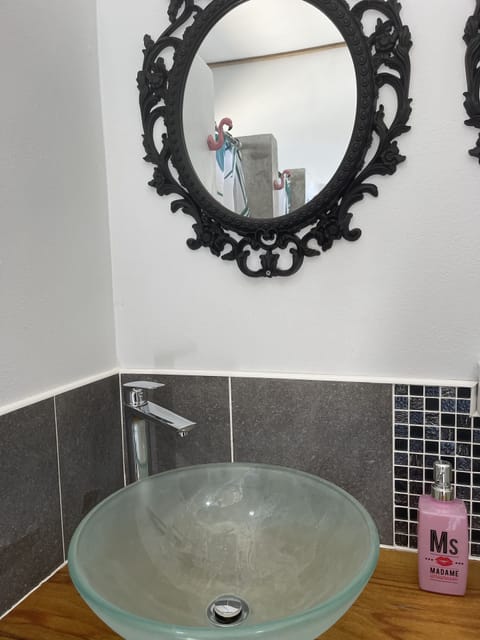 Shower, hair dryer, soap, toilet paper