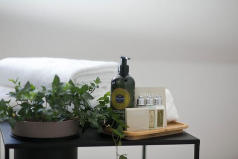 Luxury Double Room | Bathroom | Shower, free toiletries, hair dryer, heated floors