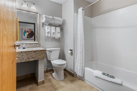 Standard Room, Multiple Beds, Non Smoking, Refrigerator & Microwave (1 king and 2 queen beds) | Bathroom | Combined shower/tub, free toiletries, hair dryer, towels