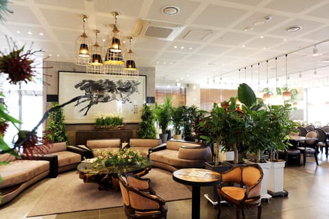 Cafe
