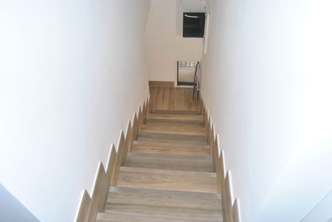 Apartment | Interior