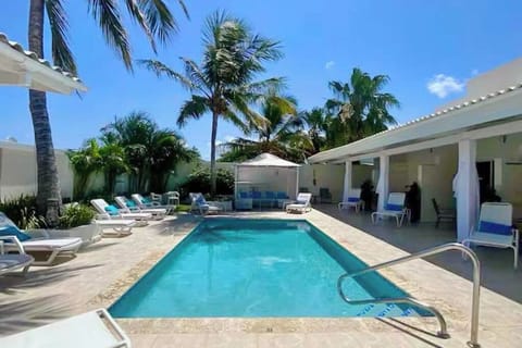 Outdoor pool, sun loungers