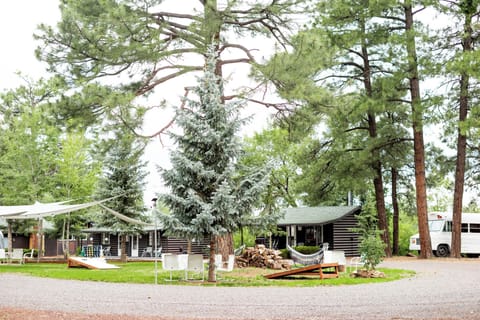 Cabin, 1 Queen Bed | Courtyard view