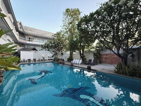 Outdoor pool, open 9:00 AM to 8:00 PM, sun loungers
