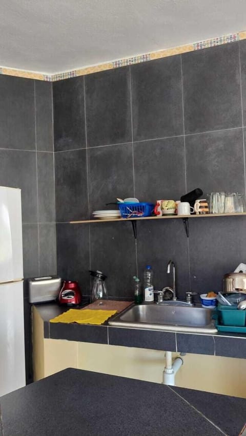 Full-size fridge, blender, cleaning supplies