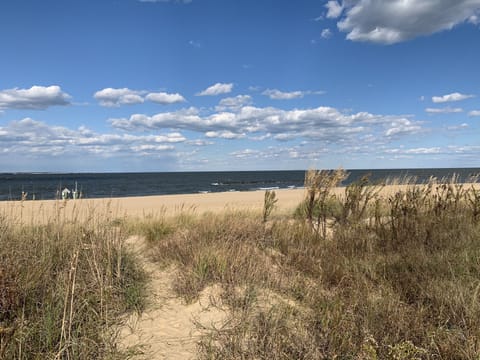 Cottage, 4 Bedrooms | Beach | On the beach