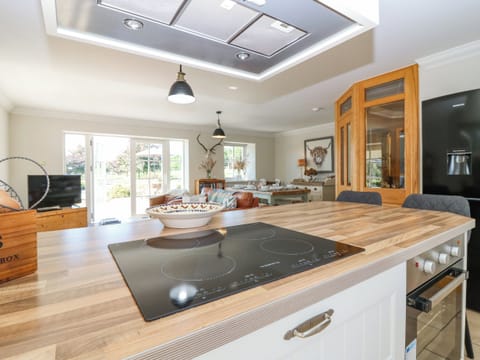 Fridge, dishwasher, electric kettle, toaster