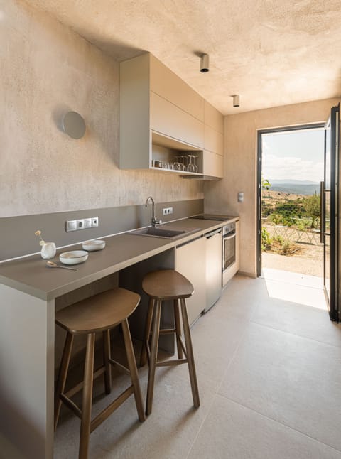 Panoramic Villa, Private Pool, Sea View | Private kitchen | Mini-fridge, oven, stovetop, espresso maker