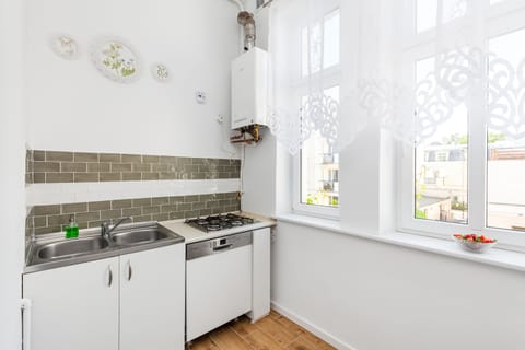 Classic Apartment | Private kitchen | Full-size fridge, microwave, oven, stovetop