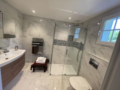 Traditional Double Room | Bathroom | Shower, rainfall showerhead, free toiletries, hair dryer