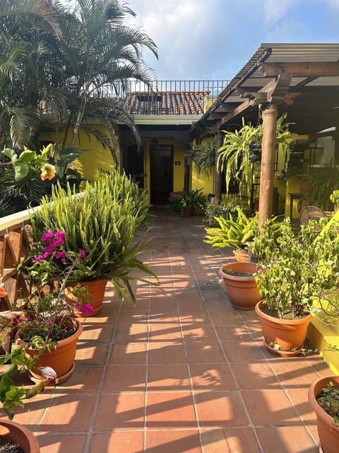 Courtyard