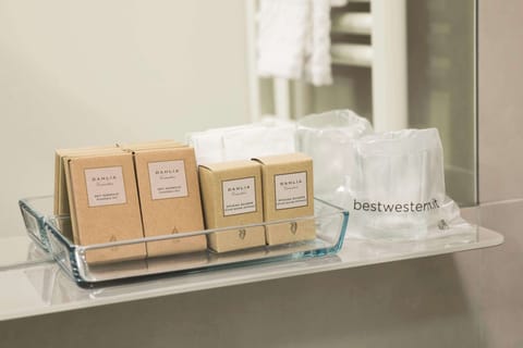 Eco-friendly toiletries, hair dryer, slippers, towels