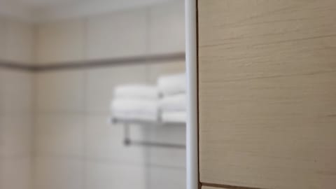 Family Apartment, 2 Bedrooms (A) | Bathroom | Hair dryer, bidet, towels, soap