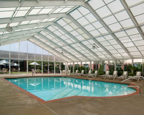 Indoor pool, open noon to 8:00 PM, sun loungers
