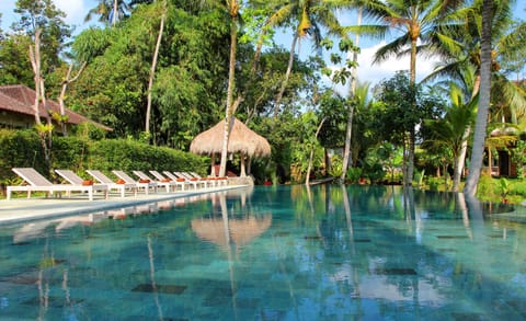 Outdoor pool, open 8:00 AM to 6:00 PM, pool umbrellas, sun loungers