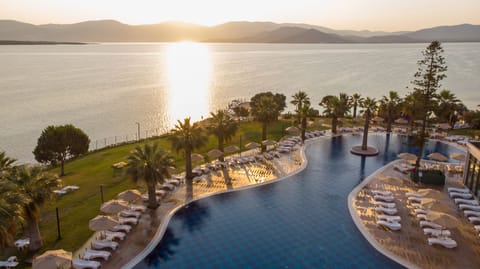 Seasonal outdoor pool, pool umbrellas, sun loungers