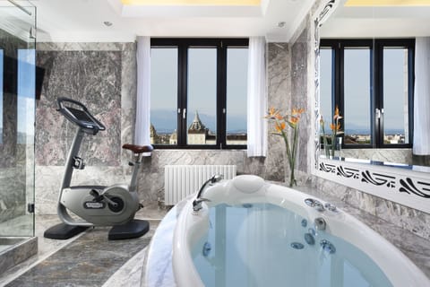 Hair dryer, bathrobes, bidet, towels