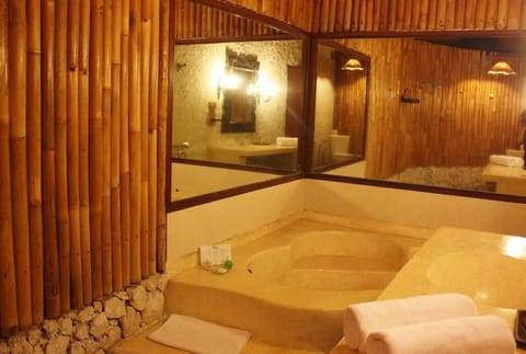 Duplex (Duplex Suite) | Bathroom | Combined shower/tub, free toiletries, hair dryer, towels