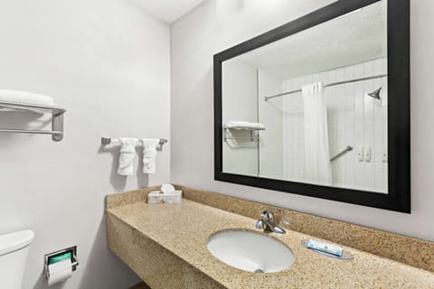 Standard Room, 1 King Bed, Non Smoking | Desk, laptop workspace, iron/ironing board, free WiFi