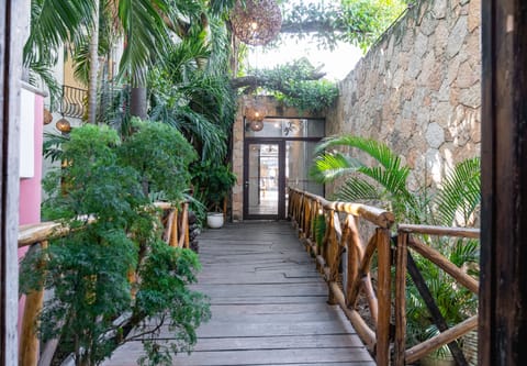 Garden view