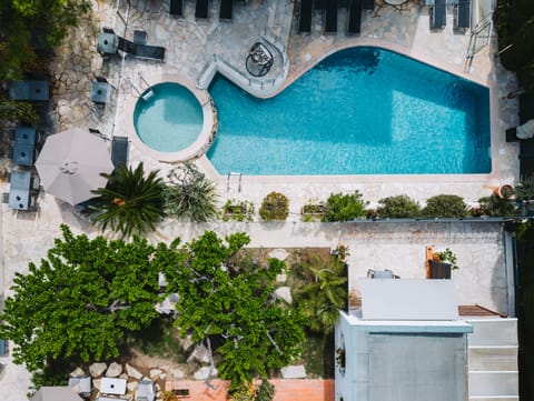Outdoor pool, sun loungers