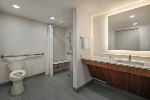 Studio, 1 King Bed with Sofa bed | Bathroom | Combined shower/tub, free toiletries, hair dryer, towels