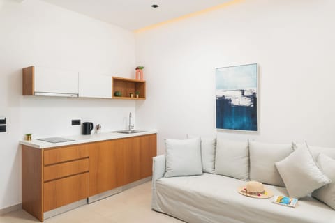 Junior Suite with Private Pool | In-room safe, desk, laptop workspace, blackout drapes