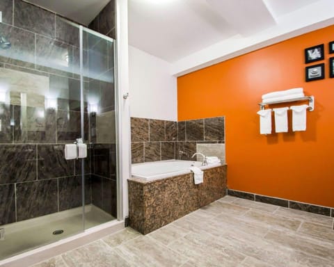 Suite, 1 King Bed with Sofa bed, Non Smoking (Efficiency) | In-room safe, desk, iron/ironing board, rollaway beds