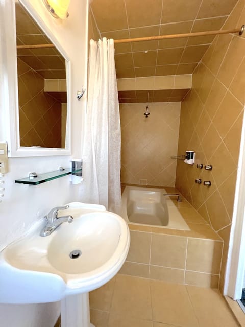 Superior Studio Suite | Bathroom | Eco-friendly toiletries, hair dryer, towels, soap