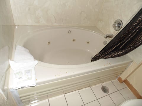 Executive Suite, Smoking | Jetted tub