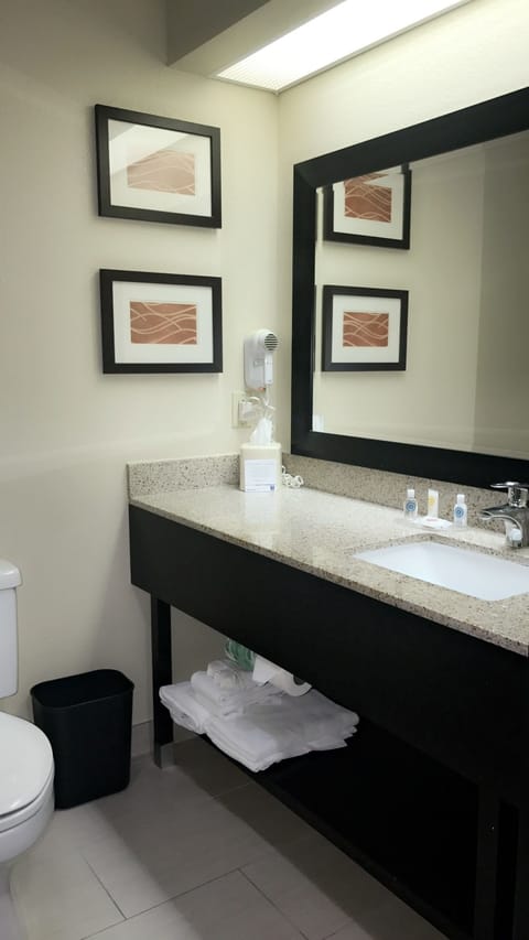 Combined shower/tub, free toiletries, hair dryer, towels