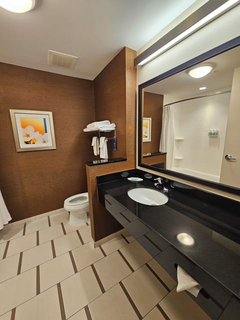 Combined shower/tub, free toiletries, hair dryer, towels