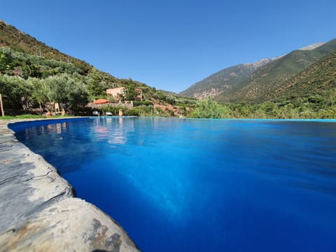 Outdoor pool, pool umbrellas, sun loungers
