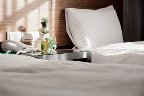 Triple Room | In-room safe, desk, soundproofing, iron/ironing board