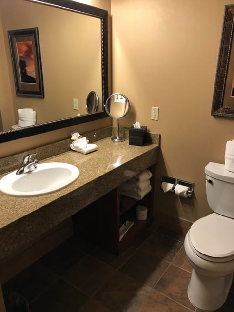 Combined shower/tub, deep soaking tub, free toiletries, hair dryer