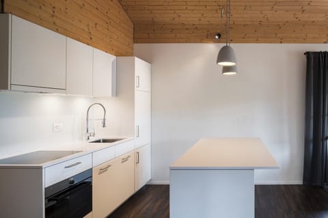 Deluxe Studio Suite | Private kitchen | Espresso maker, coffee/tea maker