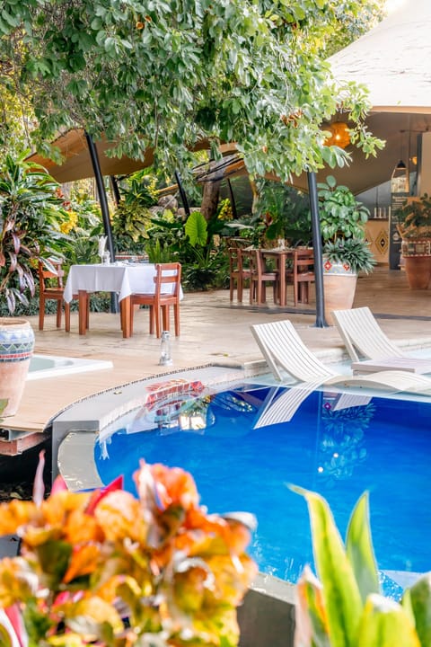 Outdoor pool, pool umbrellas, sun loungers