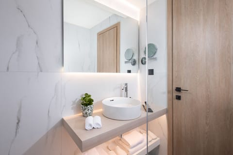 Shower, hydromassage showerhead, designer toiletries, hair dryer