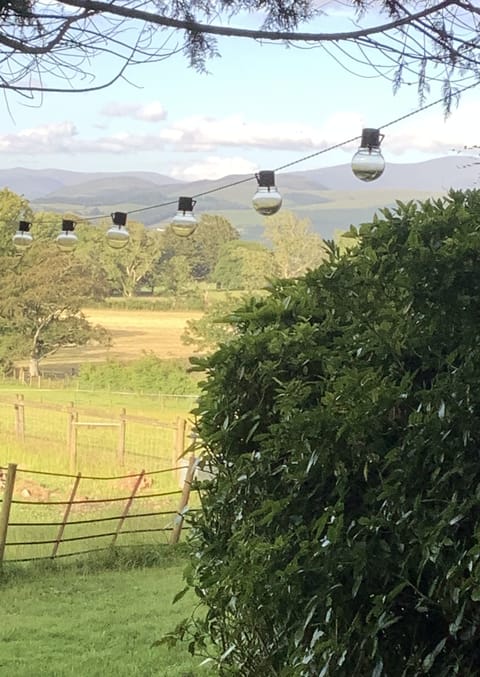 Cabin | Property grounds