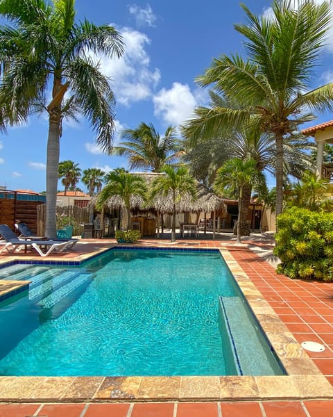 Outdoor pool, open 8:00 AM to 8:00 PM, pool umbrellas, sun loungers