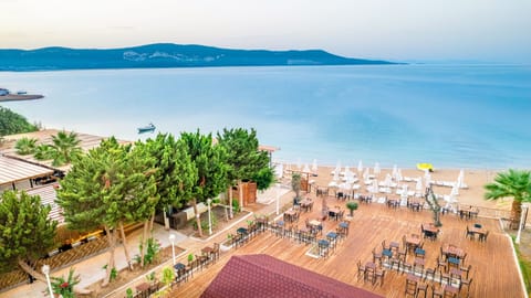Beach bar