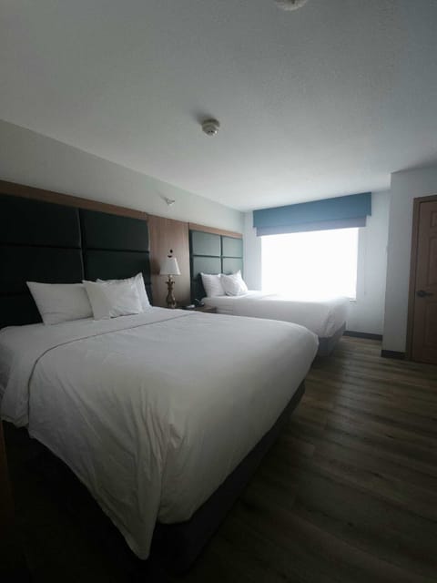 Hypo-allergenic bedding, pillowtop beds, individually decorated