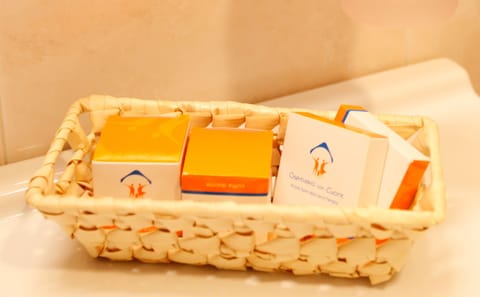 Shower, free toiletries, hair dryer, bidet